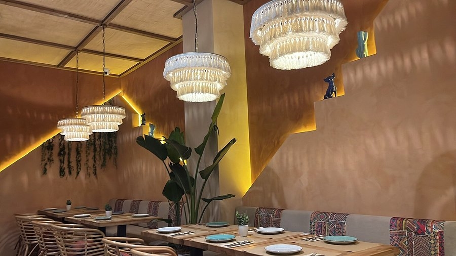 Kisah Inspiratif Chihuahua dan Tragos dalam Suasana Cozy